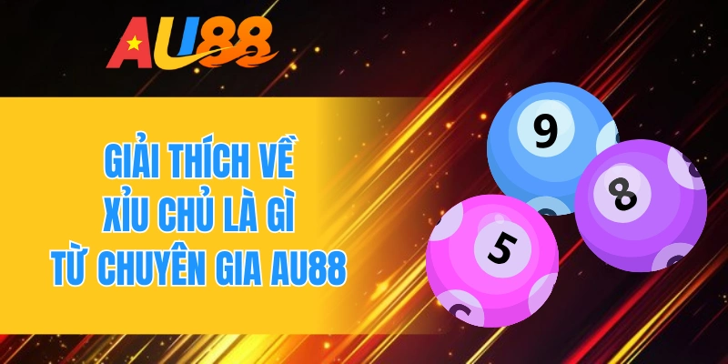Giải thích về xỉu chủ là gì từ chuyên gia AU88