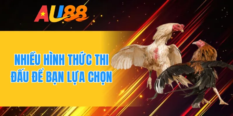 Nhiều hình thức thi đấu để bạn lựa chọn