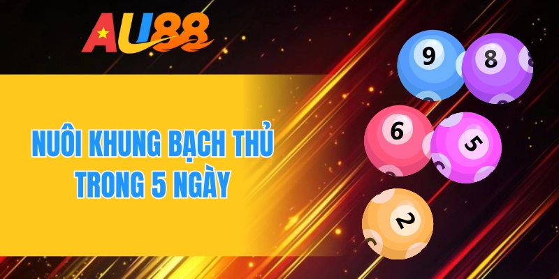 Nuôi khung bạch thủ trong 5 ngày