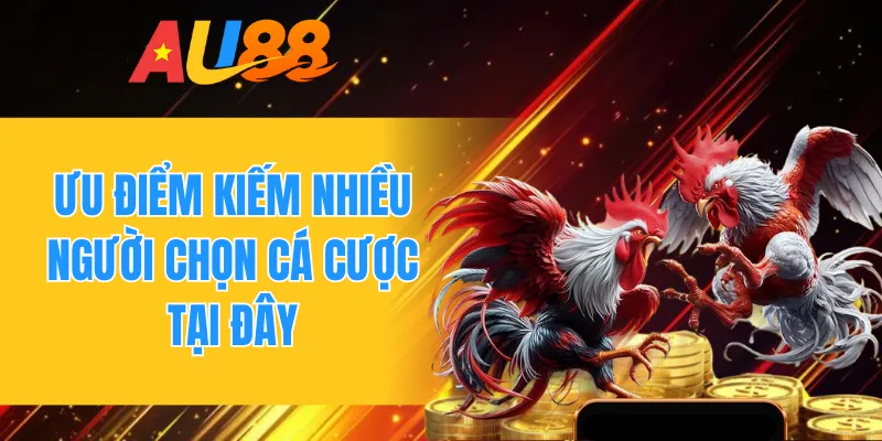 Ưu điểm kiếm nhiều người chọn cá cược tại đây